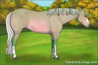 Horse Color:Watercolor Silver Bay 