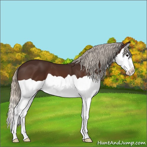 Horse Color:Silver Brown Splash 