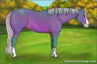 Horse Color:Watercolor Silver Brown Splash