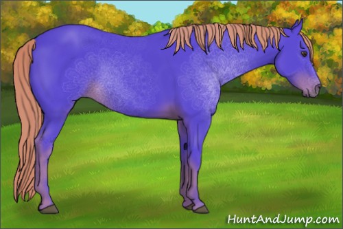 Horse Color:Watercolor Liver Chestnut 