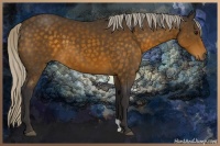 Horse Color:Silver Buckskin 