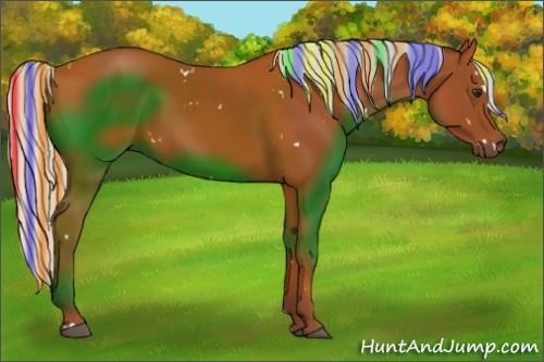 Horse Color:Painted White Spotted Silver Bay Rabicano 