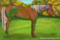 Horse Color:Painted White Spotted Silver Bay Rabicano 