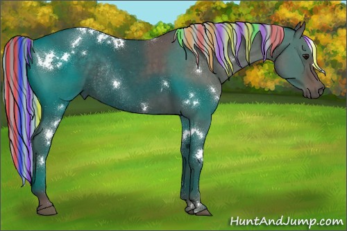 Horse Color:Painted White Spotted Silver Blue Roan Rabicano 