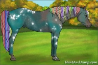 Horse Color:Painted White Spotted Silver Blue Roan Rabicano 