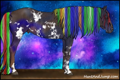 Horse Color:Painted White Spotted Liver Chestnut Rabicano 