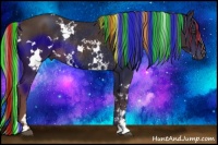 Horse Color:Painted White Spotted Liver Chestnut Rabicano 
