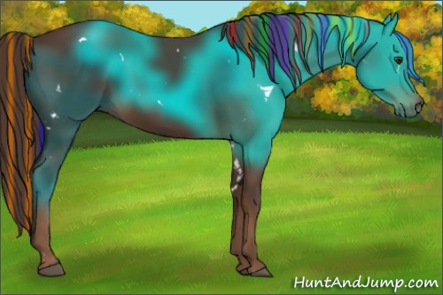Horse Color:Painted White Spotted Liver Chestnut Sabino Rabicano