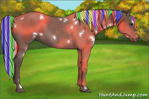 Horse Color:Painted White Spotted Silver Black Rabicano 