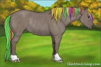 Horse Color:Painted Silver Grullo Rabicano 