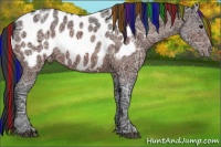 Horse Color:Painted Brown Ice Appaloosa 