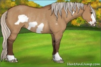 Horse Color:Silver Bay Dun Frame Rabicano