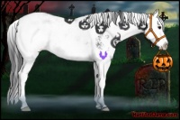 Horse Color:Black Sabino Splash