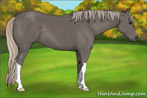 Horse Color:Silver Black 