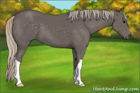 Horse Color:Silver Black 