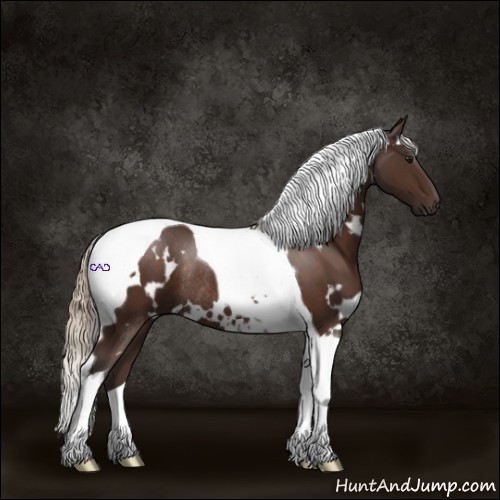 Horse Color:White Spotted Silver Brown Tobiano Rabicano