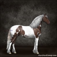 Horse Color:White Spotted Silver Brown Tobiano Rabicano