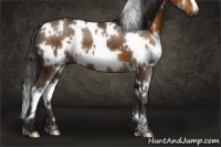 Horse Color:White Spotted Buckskin 