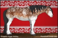 Horse Color:White Spotted Bay 