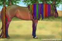 Horse Color:Painted Brown 