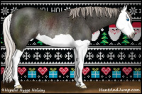 Horse Color:Gray Silver Black Splash Rabicano 