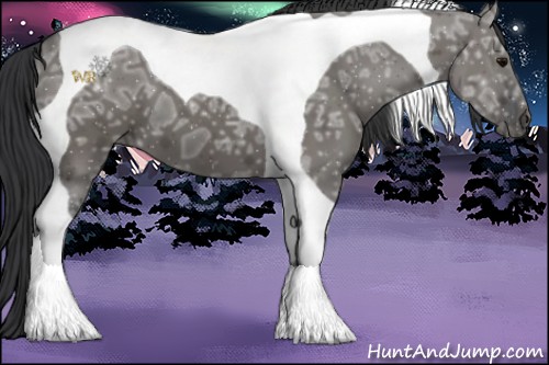 Horse Color:Grullo Ice Tobiano 