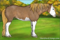 Horse Color:Painted Silver Brown Dun Sabino Splash 