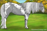 Horse Color:Silver Grullo Chinchilla Splash Tobiano 