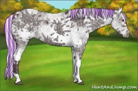 Horse Color:Painted White Spotted Chocolate Silver Black Chinchilla Ice Splash Rabicano 