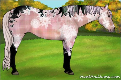 Horse Color:Watercolor Plaid Silver Brown Ice Dun Sabino Tobiano