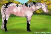 Horse Color:Watercolor Plaid Silver Brown Ice Dun Sabino Tobiano