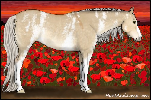 Horse Color:White Spotted Silver Buckskin Dun Rabicano 