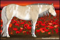 Horse Color:White Spotted Silver Buckskin Dun Rabicano