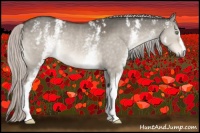 Horse Color:White Spotted Silver Bay Dun Rabicano 