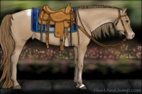 Horse Color:Black Pearl Appaloosa