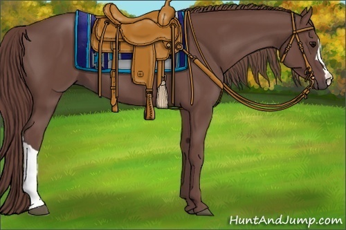Horse Color:Chocolate Smoky Black 