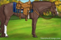 Horse Color:Chocolate Smoky Black 