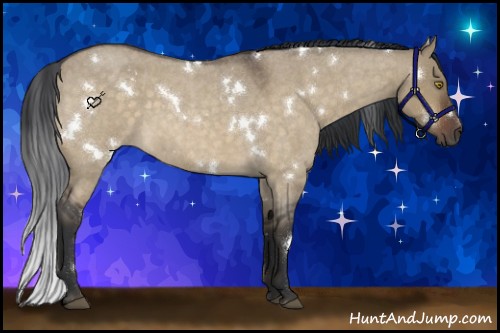 Horse Color:White Spotted Brown Roan Dun
