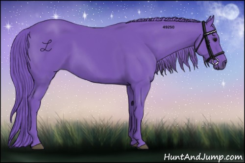 Horse Color:Watercolor Smoky Black 