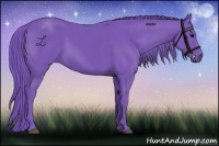 Horse Color:Watercolor Smoky Black 