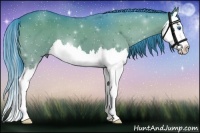 Horse Color:Watercolor Grullo Splash