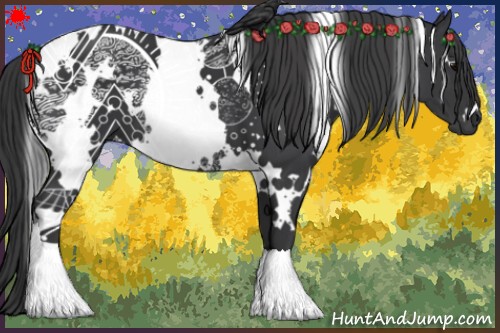 Horse Color:White Spotted Black
