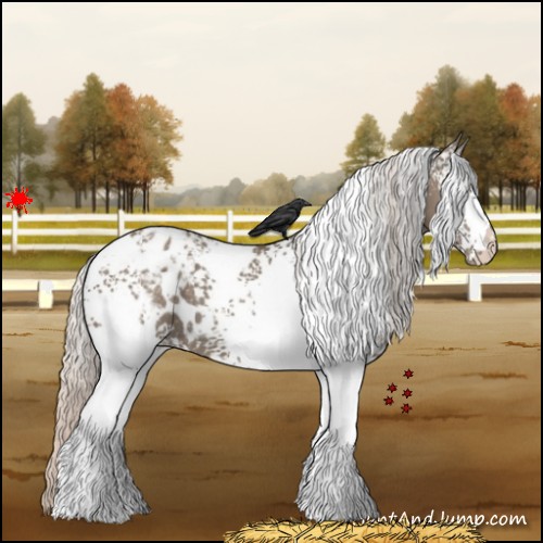Horse Color:White Spotted Silver Grullo Appaloosa 