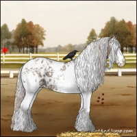 Horse Color:White Spotted Silver Grullo Varnish 