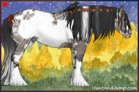 Horse Color:White Spotted Grullo Frame 