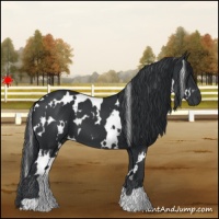 Horse Color:White Spotted Black Frame
