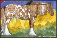 Horse Color:White Spotted Chestnut