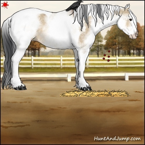 Horse Color:White Spotted Bay Dun Tobiano Rabicano
