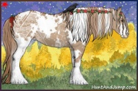 Horse Color:White Spotted Red Dun Sabino