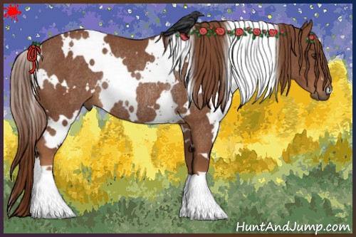 Horse Color:White Spotted Chestnut Frame Rabicano 